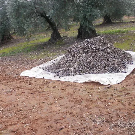 Cortijo Molino San Juan Montoro